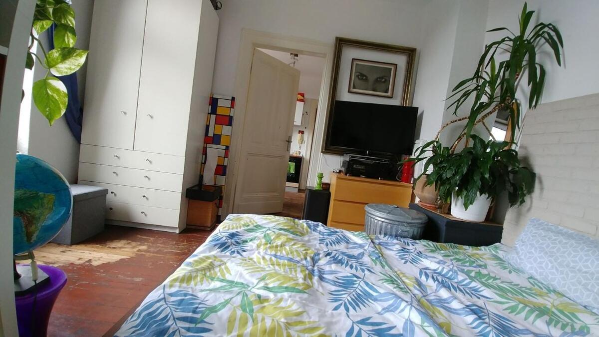 Appartement Small But